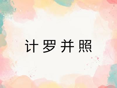 计罗并照