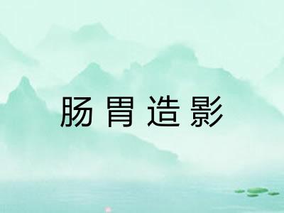 肠胃造影 肠胃造影