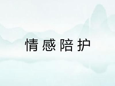 情感陪护 情感陪护