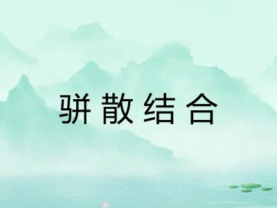 骈散结合 骈散结合