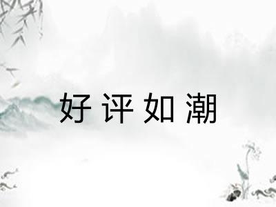 好评如潮 好评如潮