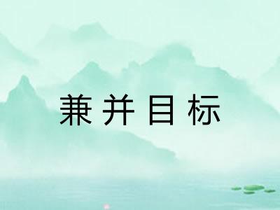 兼并目标 兼并目标