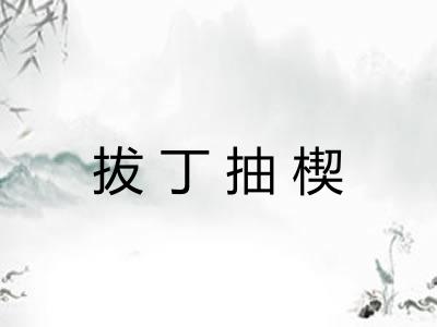 拔丁抽楔 拔丁抽楔