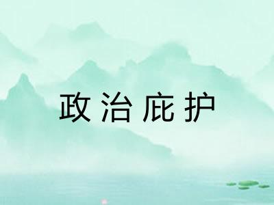 政治庇护 政治庇护