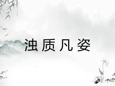 浊质凡姿 浊质凡姿