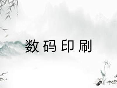 数码印刷 数码印刷