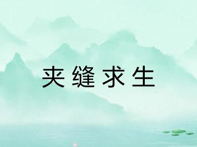 夹缝求生 夹缝求生