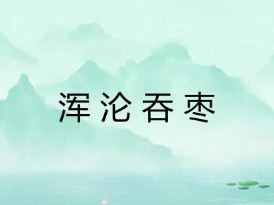 浑沦吞枣 浑沦吞枣