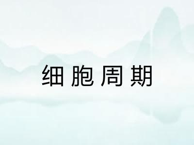 细胞周期 细胞周期