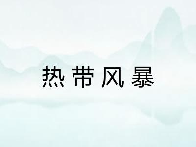 热带风暴 热带风暴