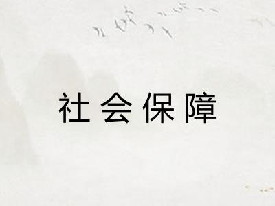 社会保障 社会保障