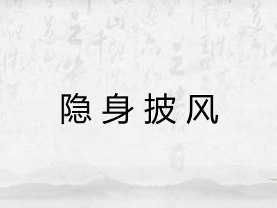 隐身披风