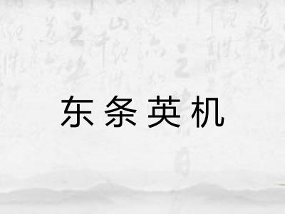 东条英机 东条英机