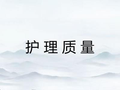 护理质量 护理质量