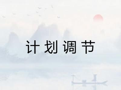计划调节