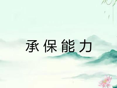 承保能力 承保能力