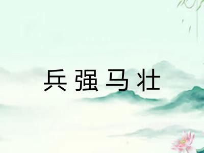 兵强马壮 兵强马壮