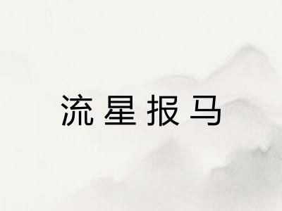 流星报马 流星报马