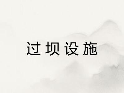 过坝设施 过坝设施