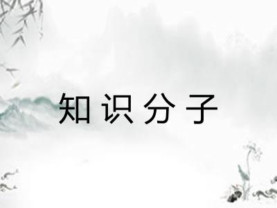 知识分子 知识分子