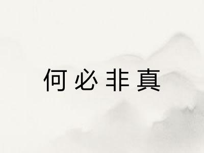 何必非真 何必非真