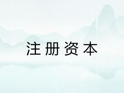 注册资本