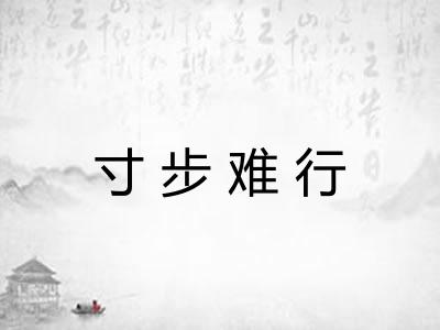 寸步难行 寸步难行