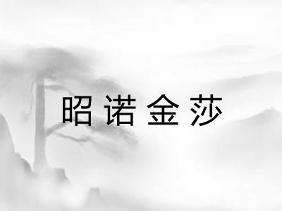 昭诺金莎 昭诺金莎