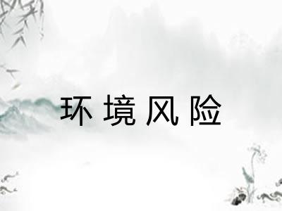 环境风险