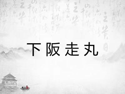 下阪走丸 下阪走丸