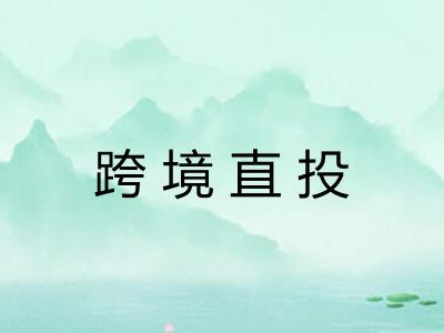 跨境直投 跨境直投