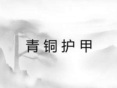 青铜护甲 青铜护甲