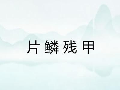 片鳞残甲 片鳞残甲