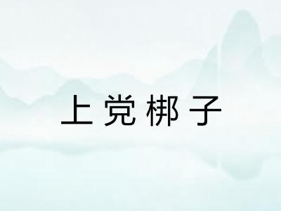 上党梆子 上党梆子