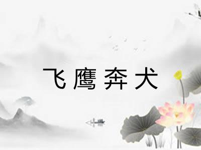 飞鹰奔犬 飞鹰奔犬
