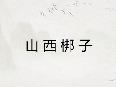 山西梆子 山西梆子