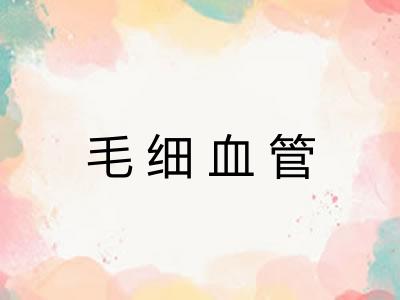 毛细血管 毛细血管