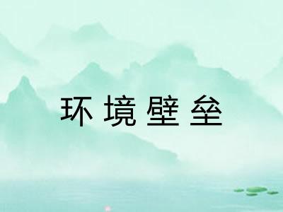 环境壁垒 环境壁垒