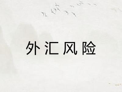 外汇风险 外汇风险