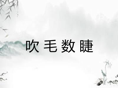 吹毛数睫 吹毛数睫