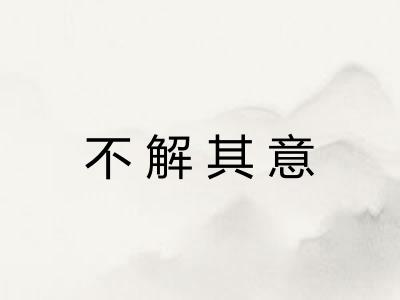 不解其意