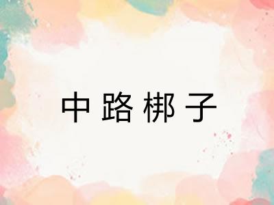 中路梆子 中路梆子