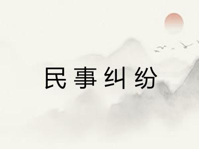民事纠纷 民事纠纷