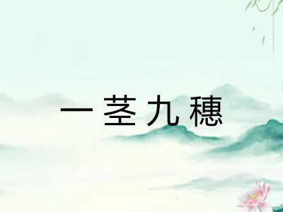 一茎九穗 一茎九穗