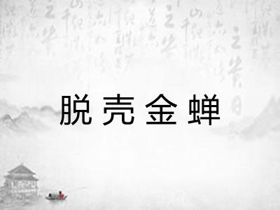 脱壳金蝉 脱壳金蝉