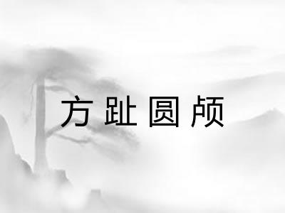 方趾圆颅 方趾圆颅