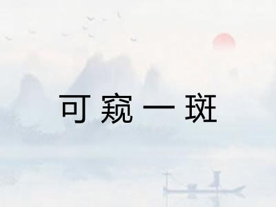 可窥一斑 可窥一斑