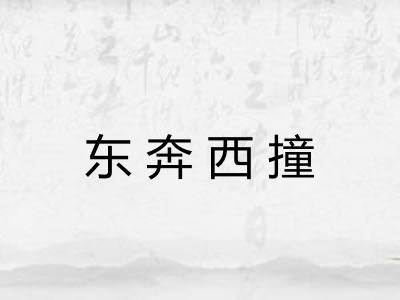 东奔西撞 东奔西撞