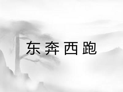 东奔西跑 东奔西跑