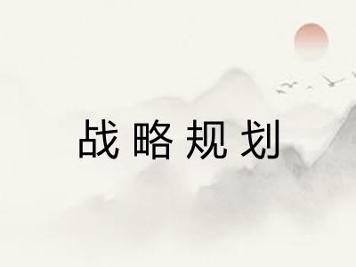 战略规划 战略规划